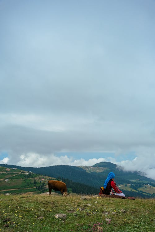 Person Sitting on a Hill 