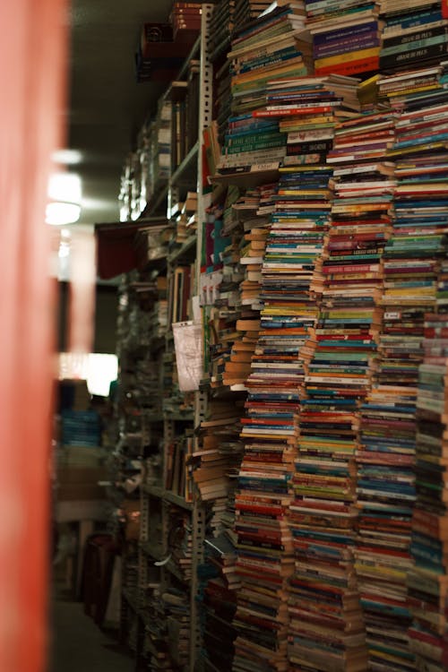 Gratis lagerfoto af bibliotek, bøger, lager