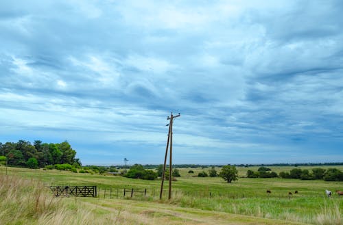 Darmowe zdjęcie z galerii z pastwisko, pole, pole uprawne
