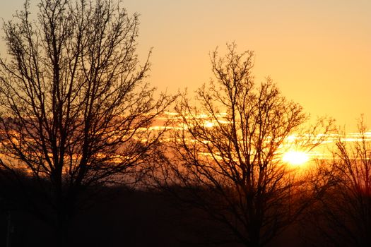 A peaceful sunrise captured with leafless trees silhouetted against orange sky.