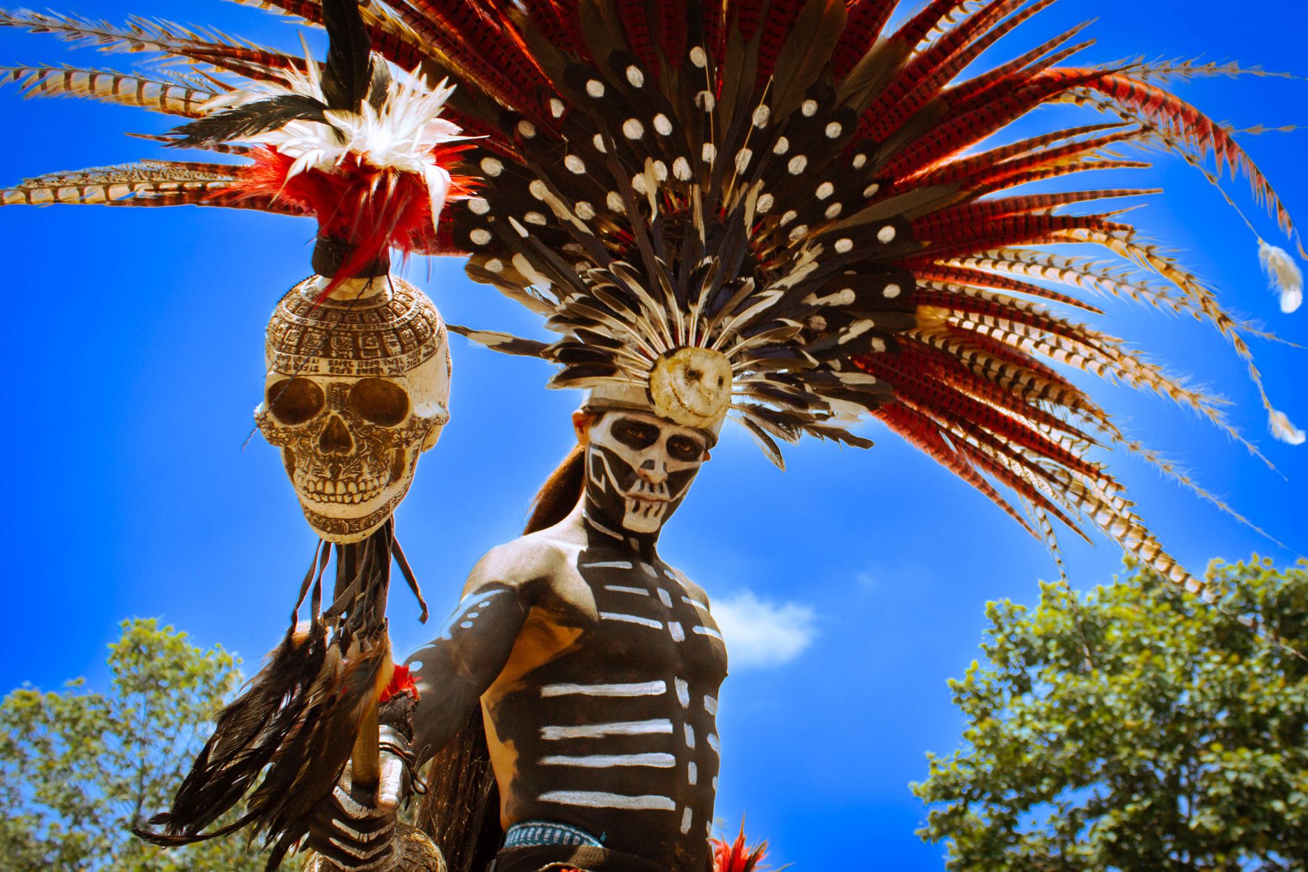 A striking portrait of a person in traditional costume with an elaborate feathered headdress and skull staff.