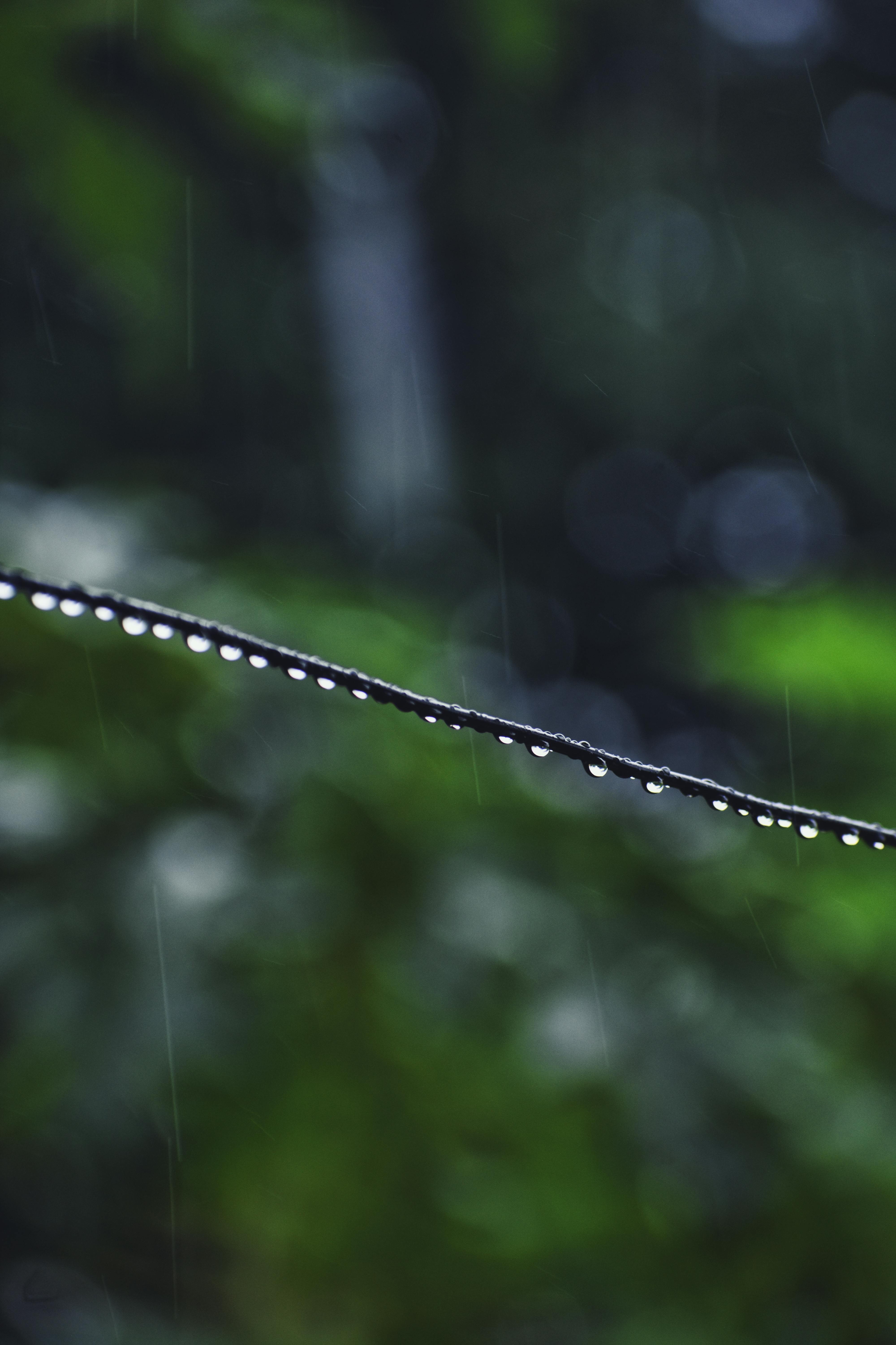 Close-Up Photo of Droplets on String · Free Stock Photo