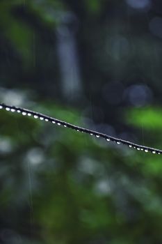 Water droplets on a wire against a blurred green backdrop, capturing nature's serenity.