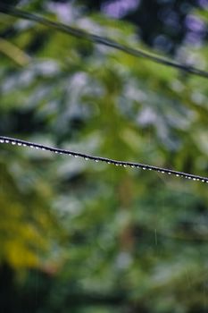 Close-up of raindrops on a wire against a blurred, verdant background in Odisha, India.