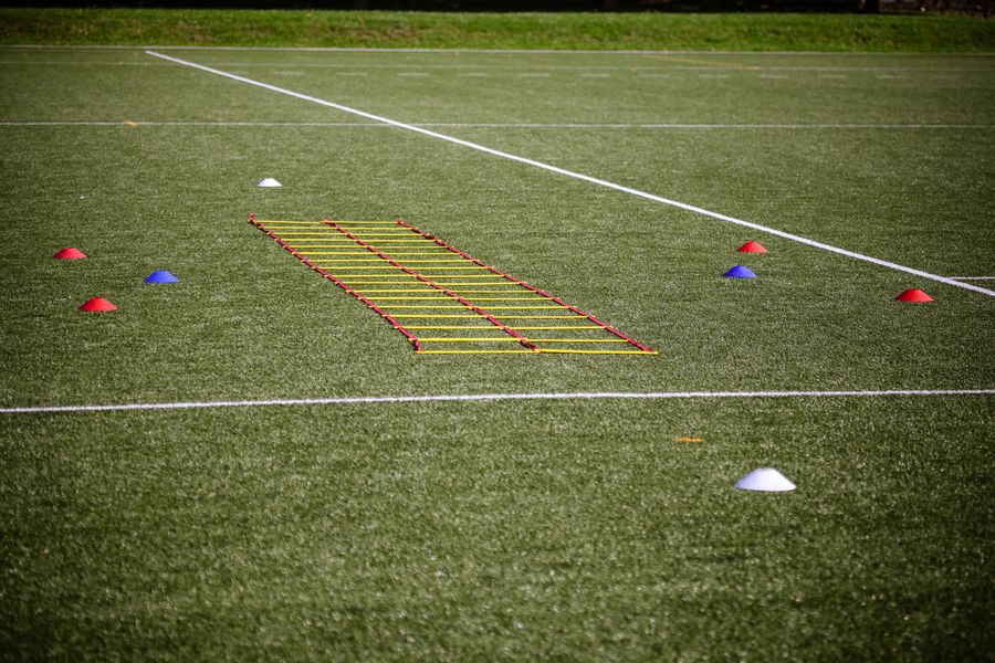 Marker cones and an agility ladder set up on grass
