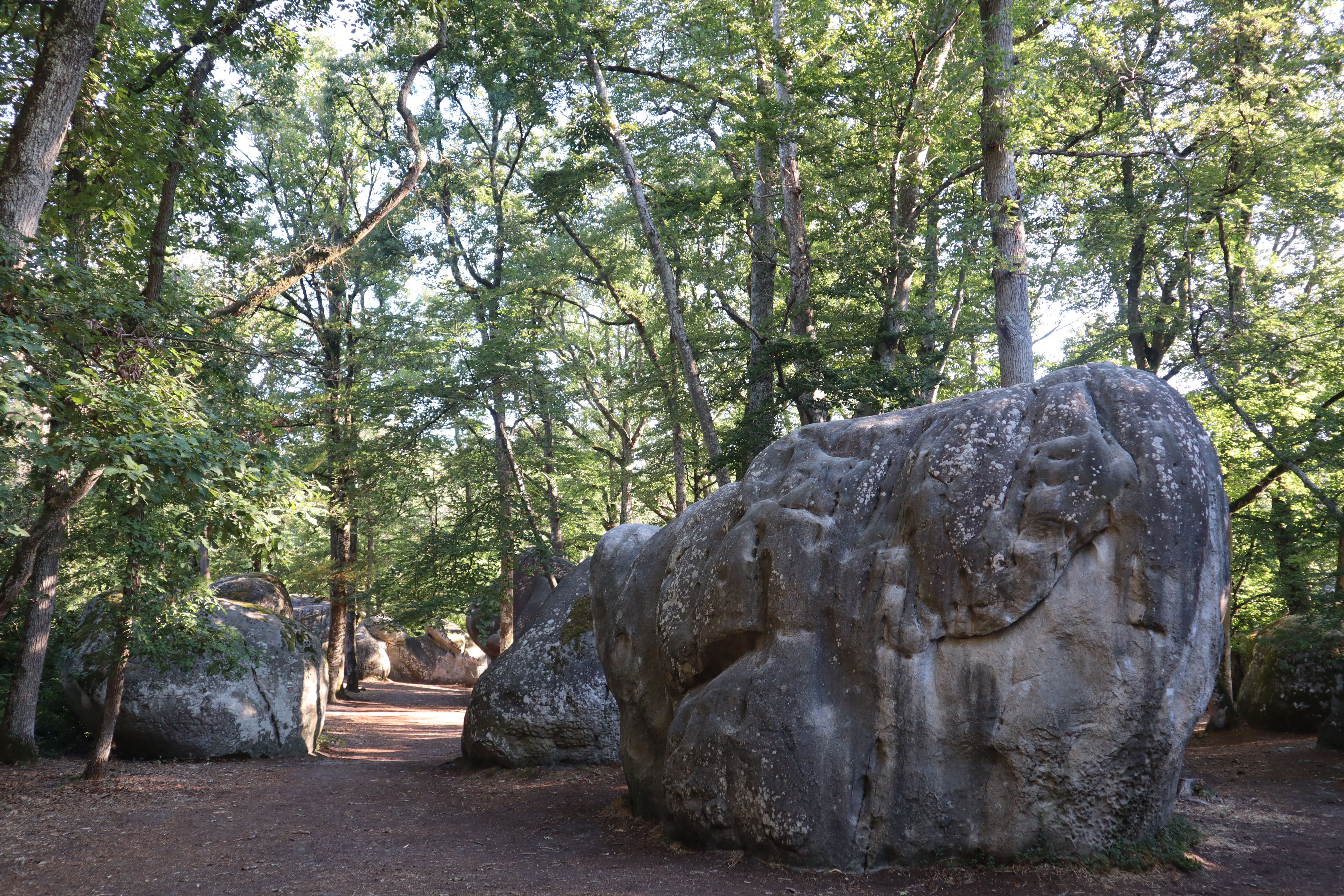 Wspinaczka na głazach Fontainebleau