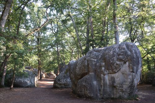 Free Tranquil forest scene with large boulders and trees under the sunlight, creating a serene ambiance. Stock Photo