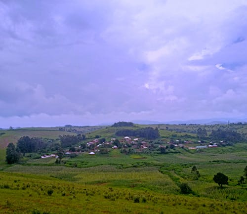 Free stock photo of african village, green village, village