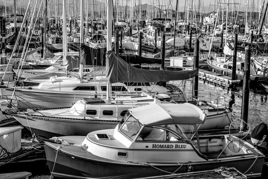 Grayscale Photo of Boats