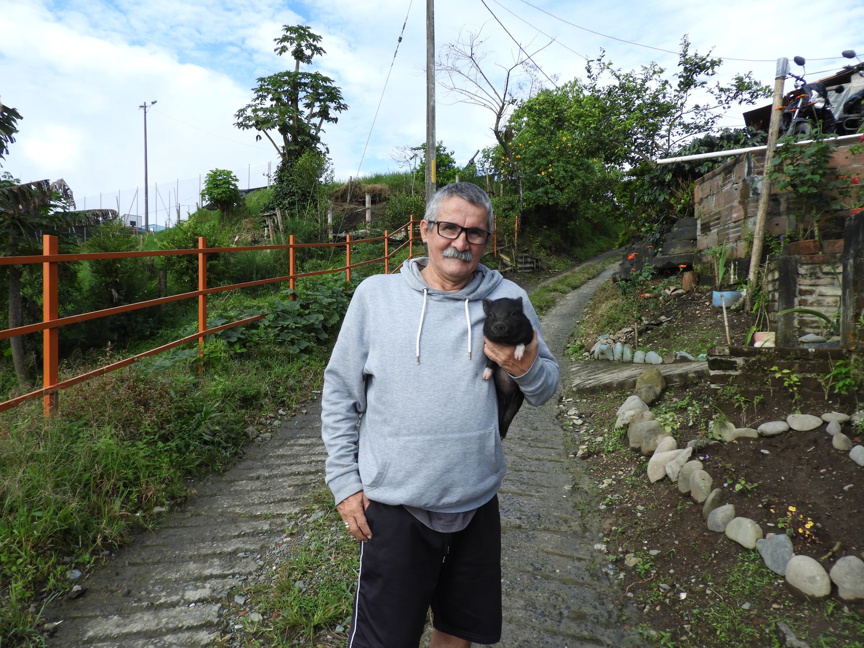 A senior man in a hoodie holding a piglet while standing on a rural path with greenery around.