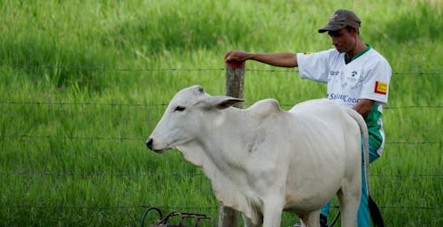 人, 動物, 哺乳動物 的 免費圖庫相片