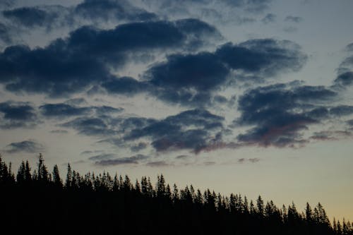 剪影, 天空, 星空 的 免費圖庫相片