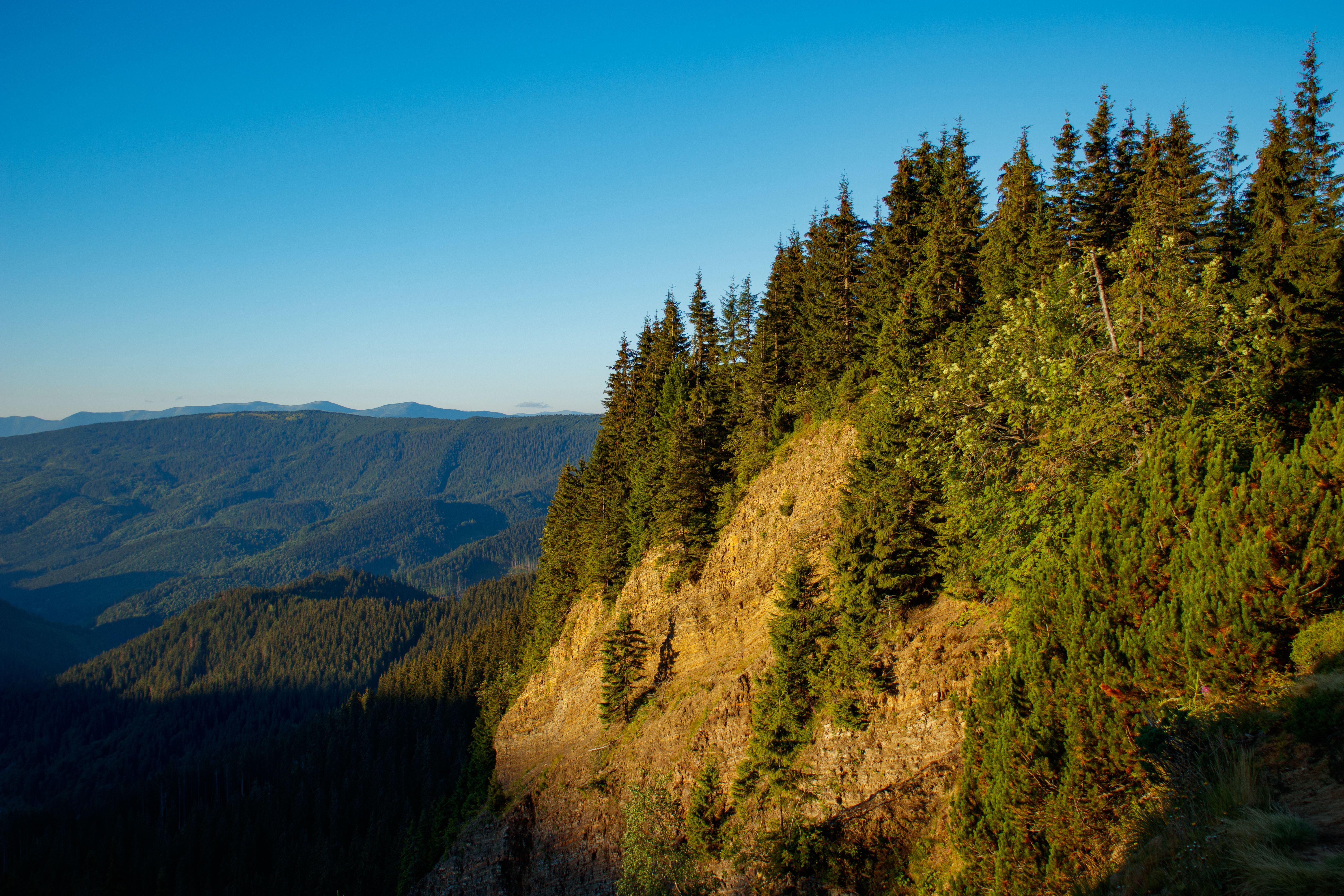 Green Trees on Mountains Under a Clear Blue Sky · Free Stock Photo