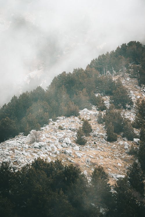 dağlar, dikey atış, jeoloji içeren Ücretsiz stok fotoğraf