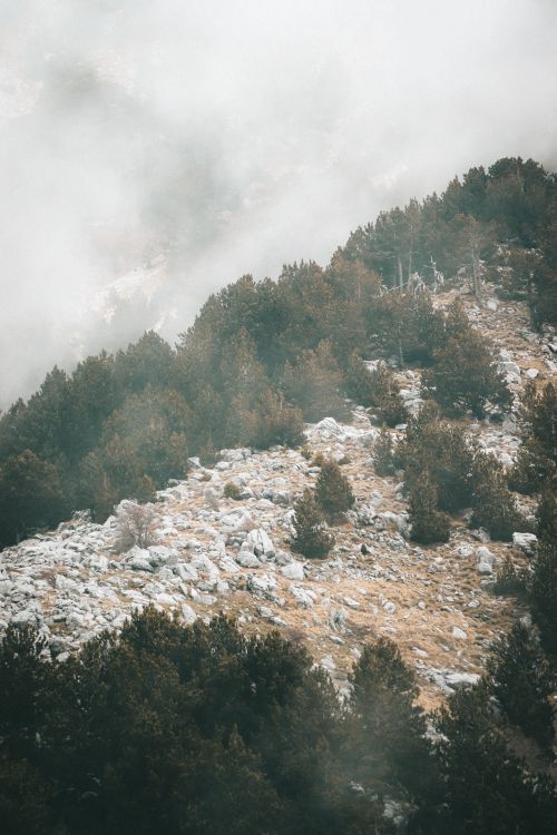 Free Serene forested mountain landscape wrapped in mist and rocky terrain, perfect for nature enthusiasts. Stock Photo