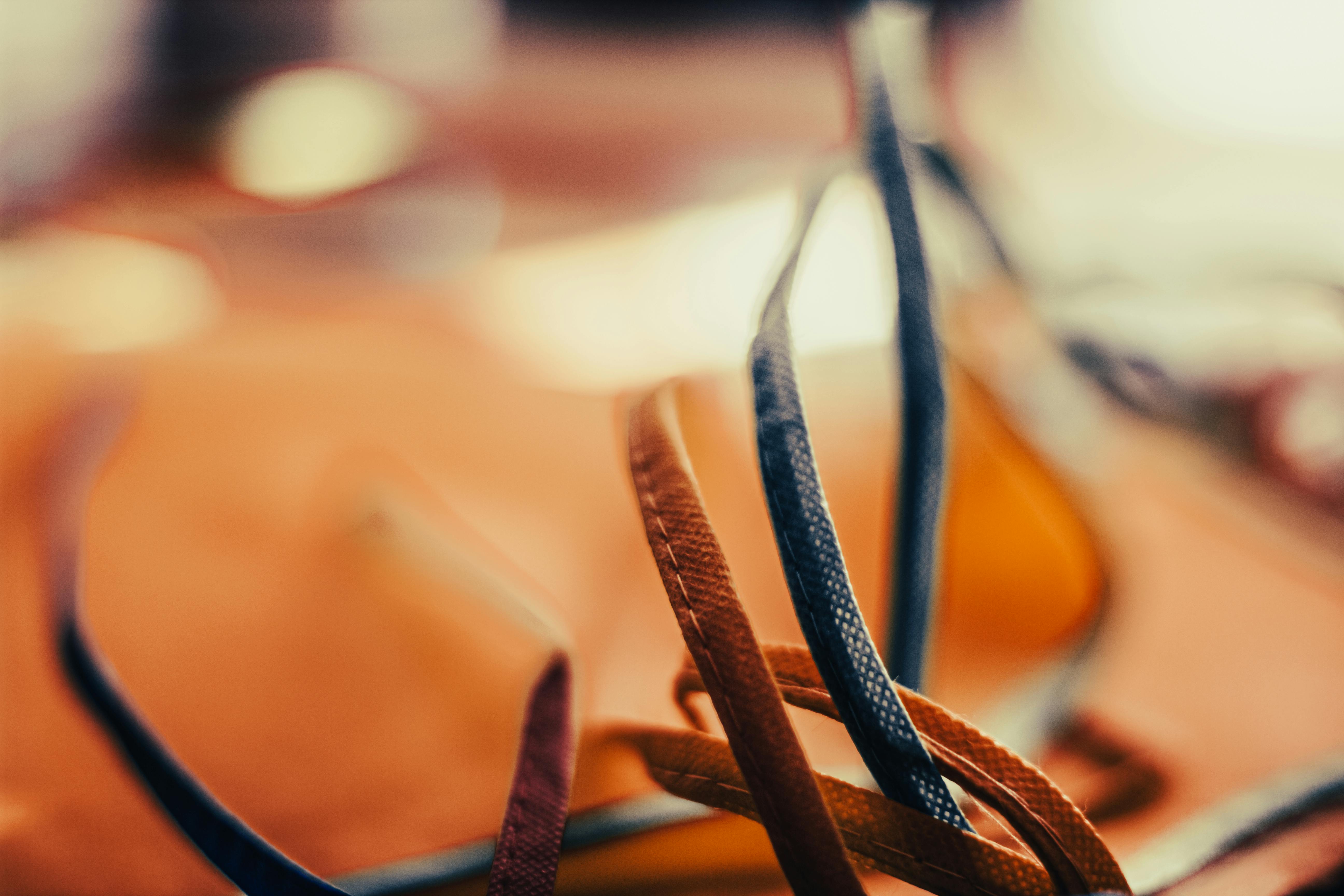 Break Creative Stagnation: Warping Your Photography Process — Photo by Steve A Johnson on Pexels