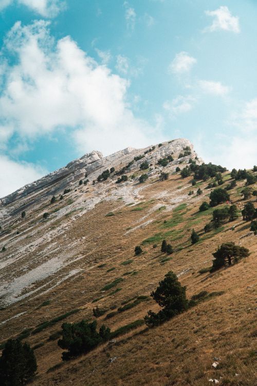 Free A tranquil mountain slope with scattered trees under a vibrant blue sky. Stock Photo