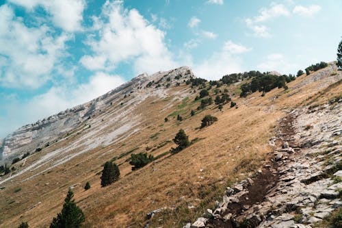 Majestic Mountains Landscape