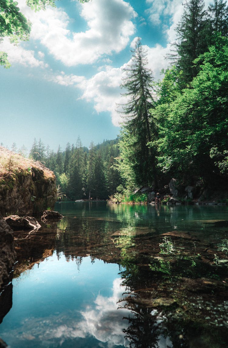 Landscape With Green Trees And Blue Sky Reflecting In A Pond