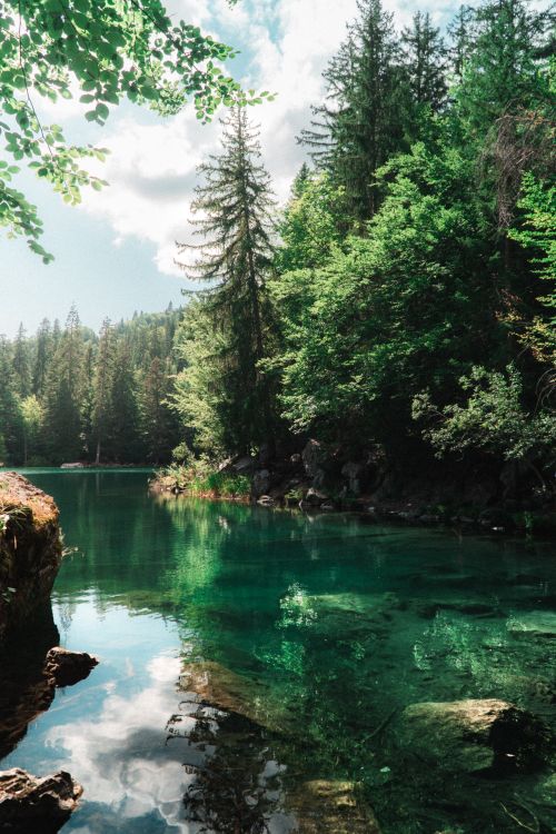 Free Serene lake surrounded by lush forest with clear water reflections. Perfect nature escape. Stock Photo