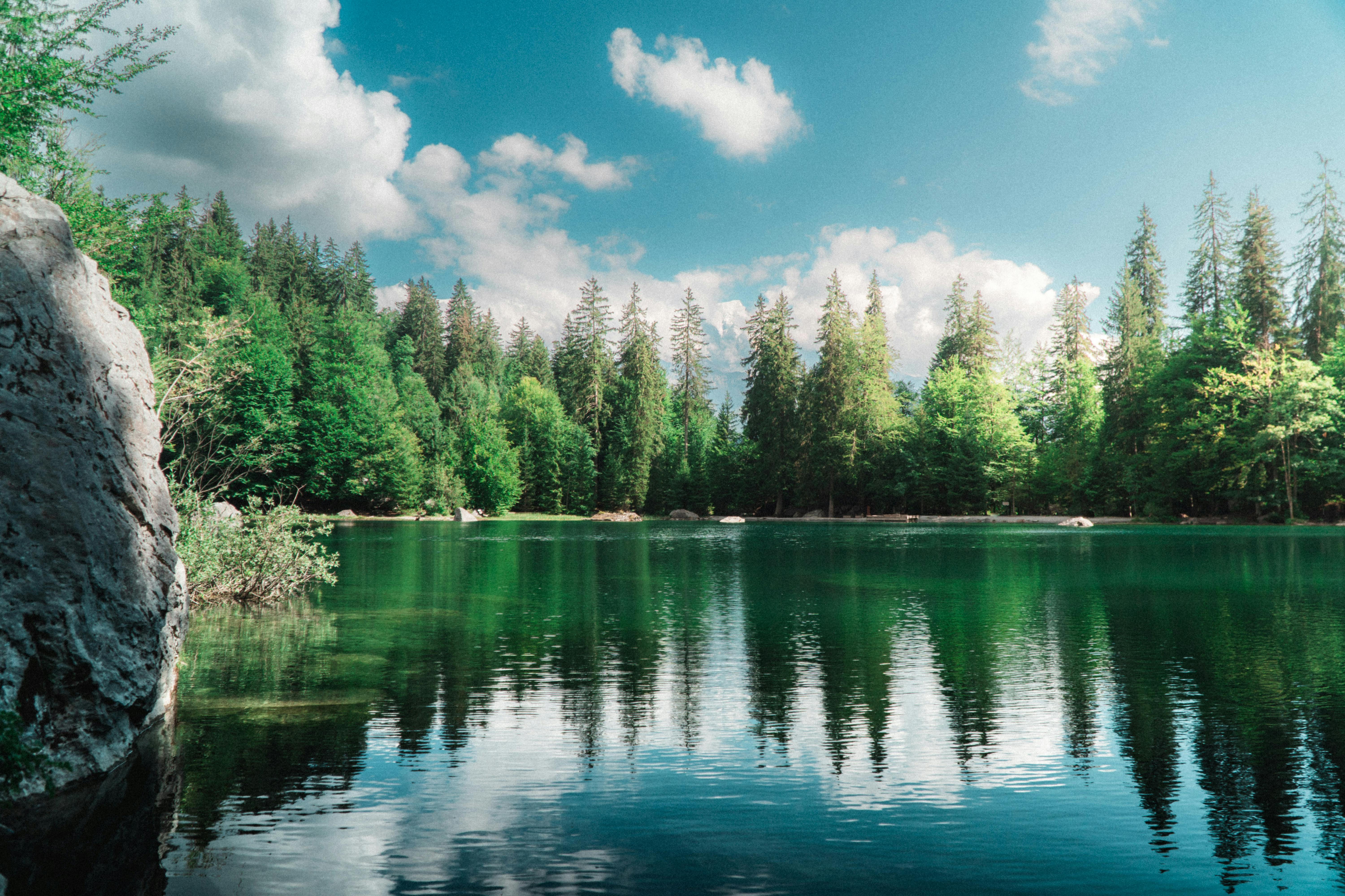 Clear mountain lake with lush green trees reflecting in pristine water