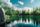nature peace