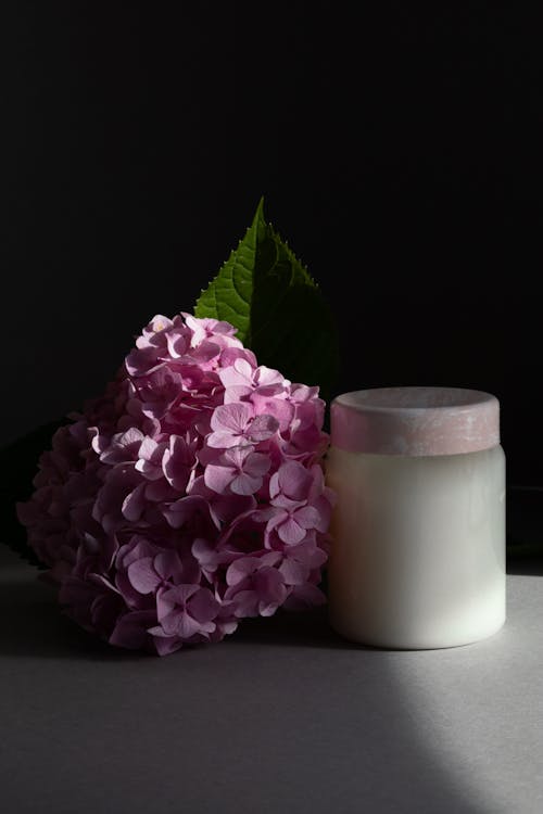 Free Pink Flowers Beside White Container Stock Photo
