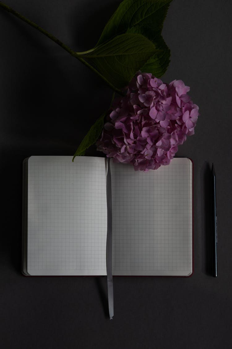 Top View Photo Of Opened Notebook Near Flower