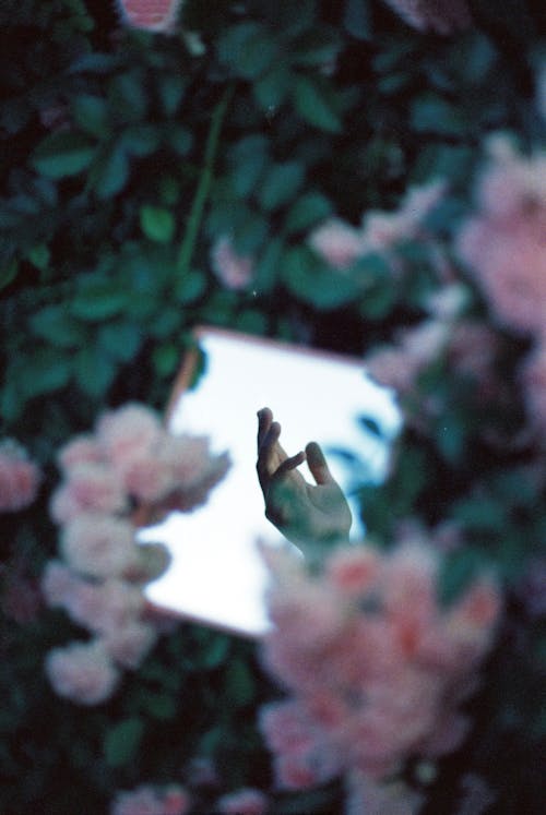 A Hand Surrounded by Flowers