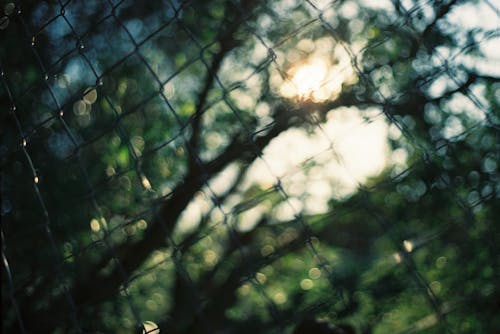 Close Up Photo of Chain Link Fence