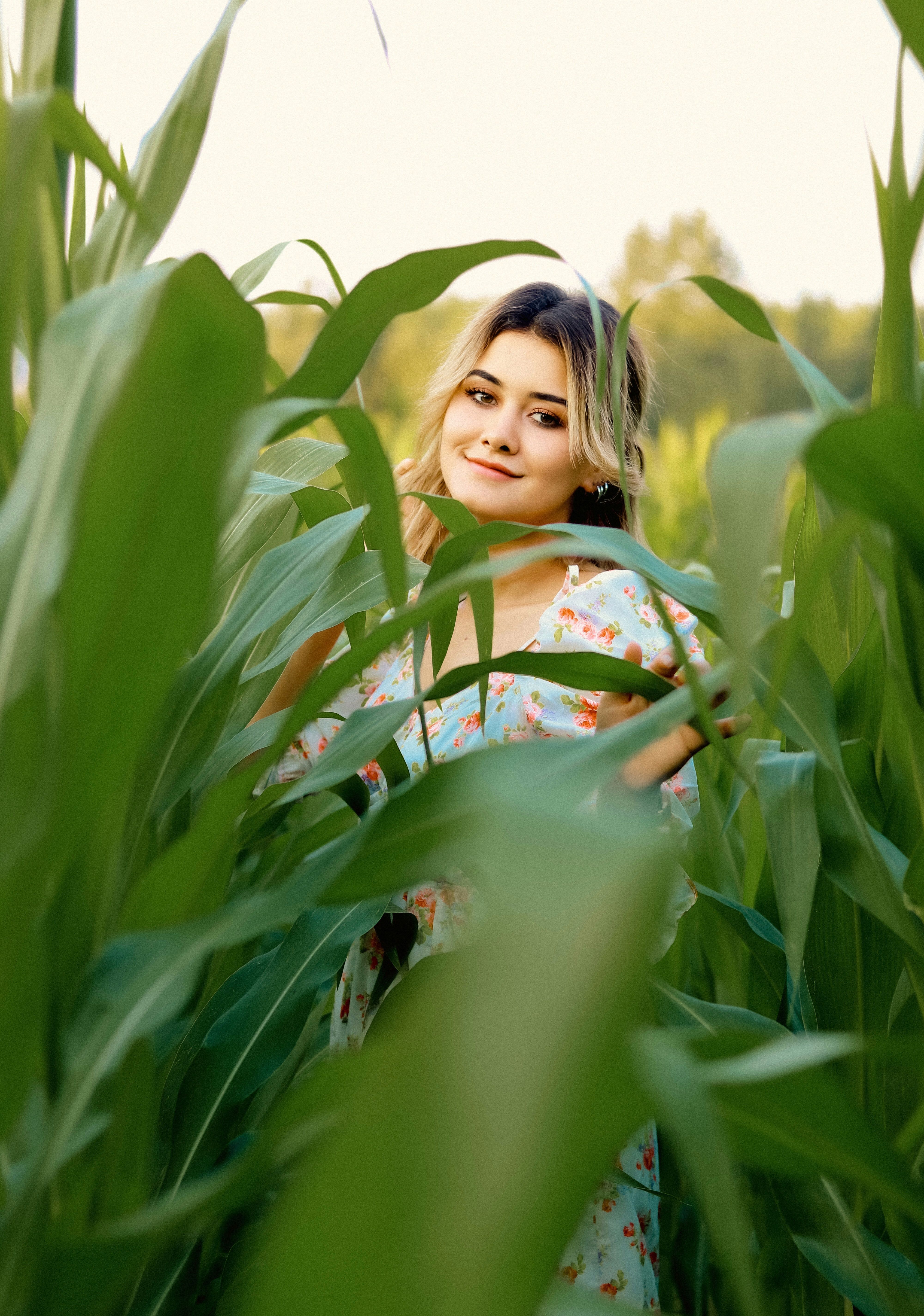 A Woman in Green and Orange Floral Dress Standing on Corn Field · Free ...