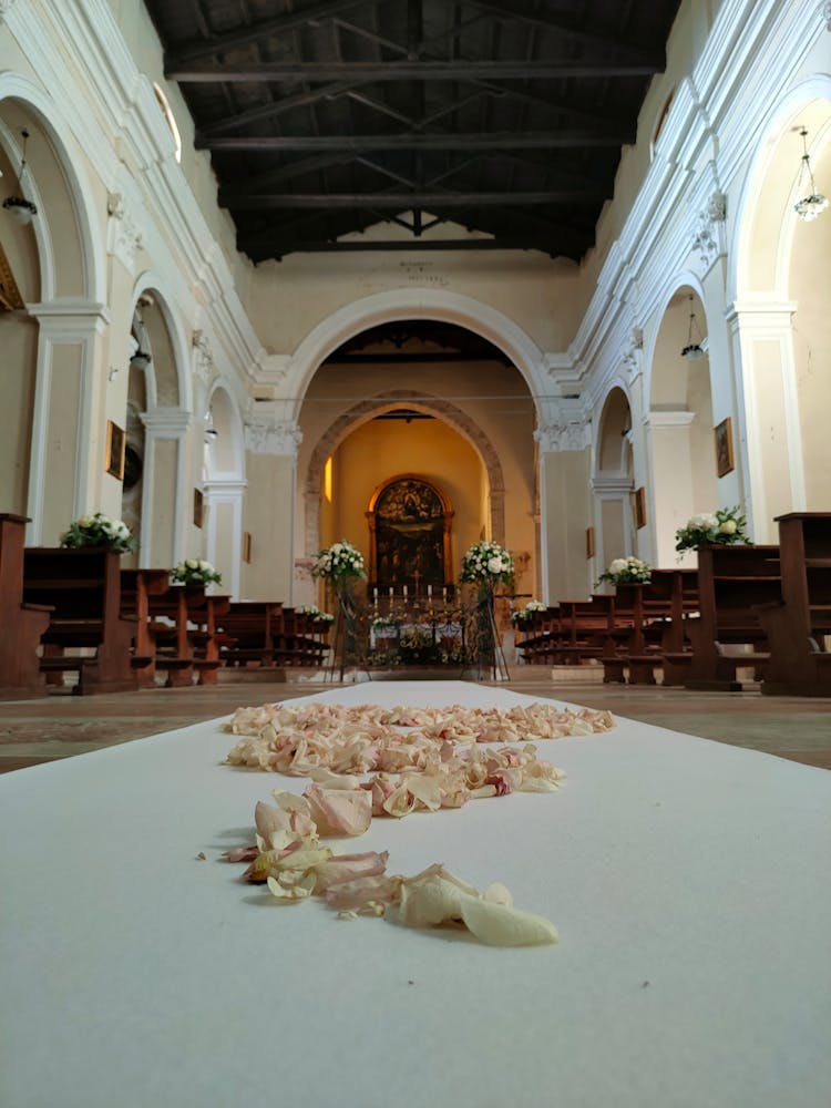 Flower Petals On A Church's Aisle 