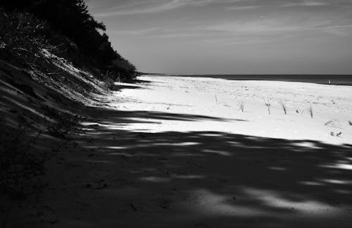Grayscale Photo of a Beach 