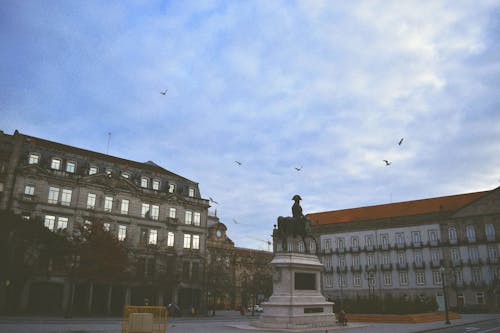 Estátua Perto De Edifícios