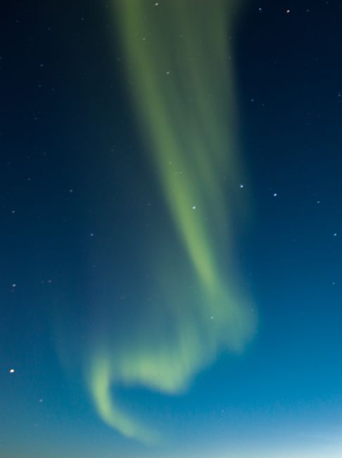 Capture the mesmerizing aurora borealis swirling under a starry night sky.