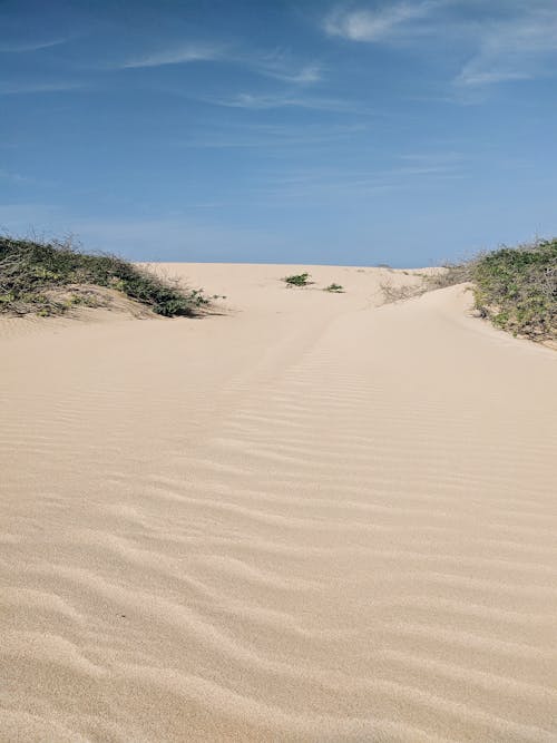 Free Dry Hot Arid Sand Dunes on Desert
 Stock Photo