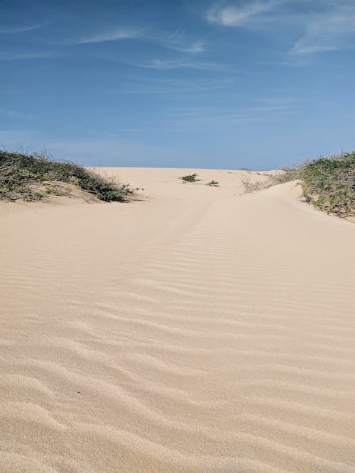 Imagine de stoc gratuită din arid, atrăgător, cer