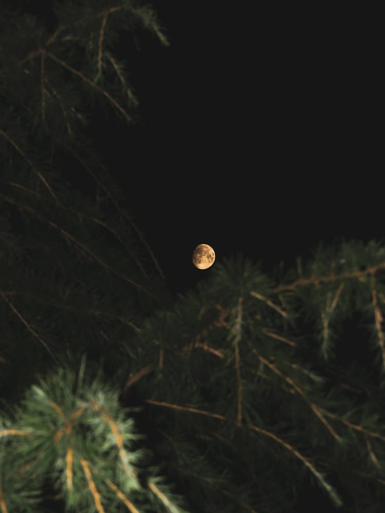 Moon On A Dark Sky 