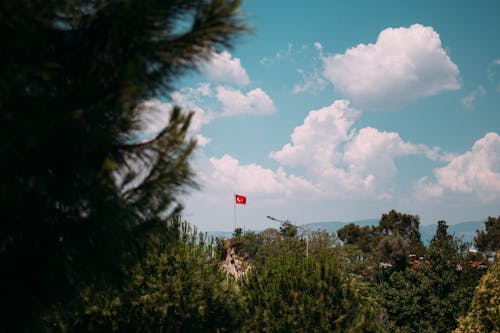 View of a Turkish Flag on a Hill among Trees 