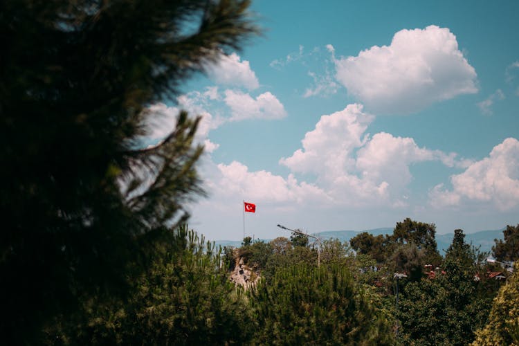 View Of A Turkish Flag On A Hill Among Trees 