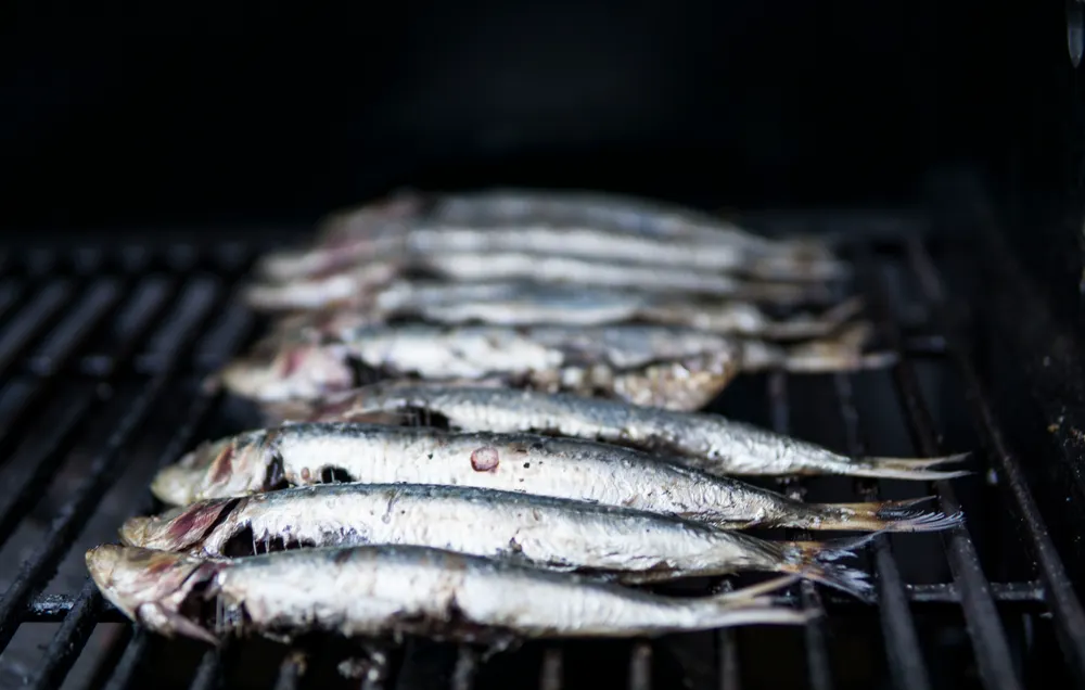 Sardines grillées