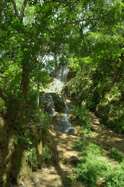 Foto d'estoc gratuïta de aigua que flueix, aigua verda, cascada