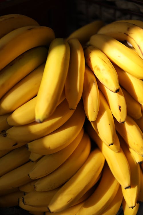 Бесплатное стоковое фото с банан, бананы, вертикальный выстрел