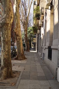 A quiet city street with trees, pavement, and urban buildings in sunlight.