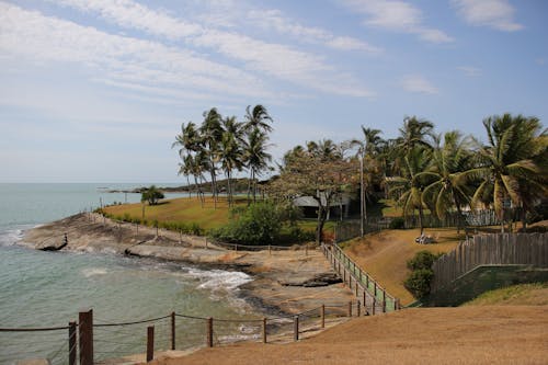 deniz kenarı, Hindistan cevizi ağaçları, okyanus kıyısı içeren Ücretsiz stok fotoğraf
