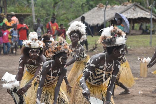 A group participates in a vibrant traditional dance, showcasing cultural heritage in an outdoor setting.
