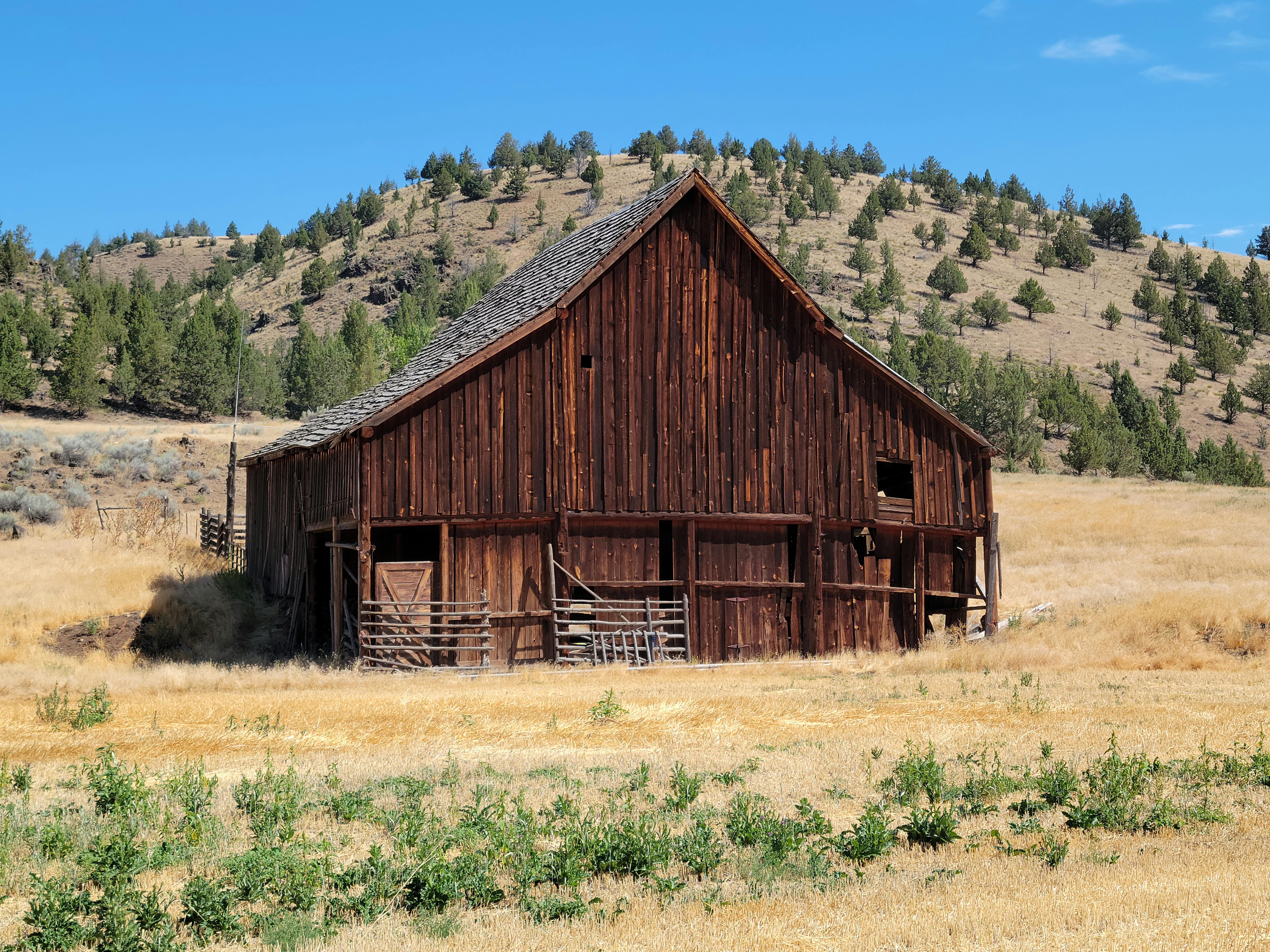 Photo of Mount Vernon