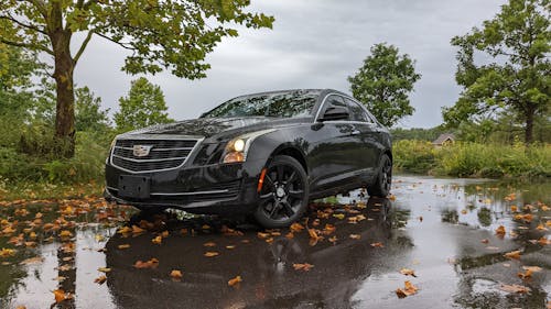 Photos gratuites de arbres verts, automobile, cadillac