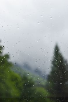 Close-up of rain droplets on window glass with a misty forest in the background, creating a serene and moody atmosphere.