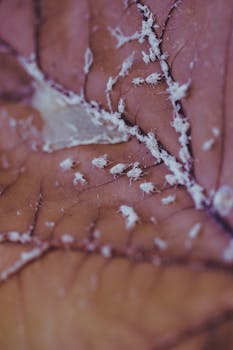 Close-up view of tiny insects on a leaf, highlighting textures and nuances.